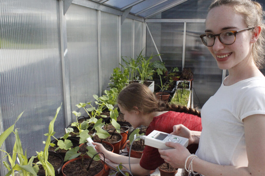 You are currently viewing Climate Garden 2085 at the Cantonal School Wettingen