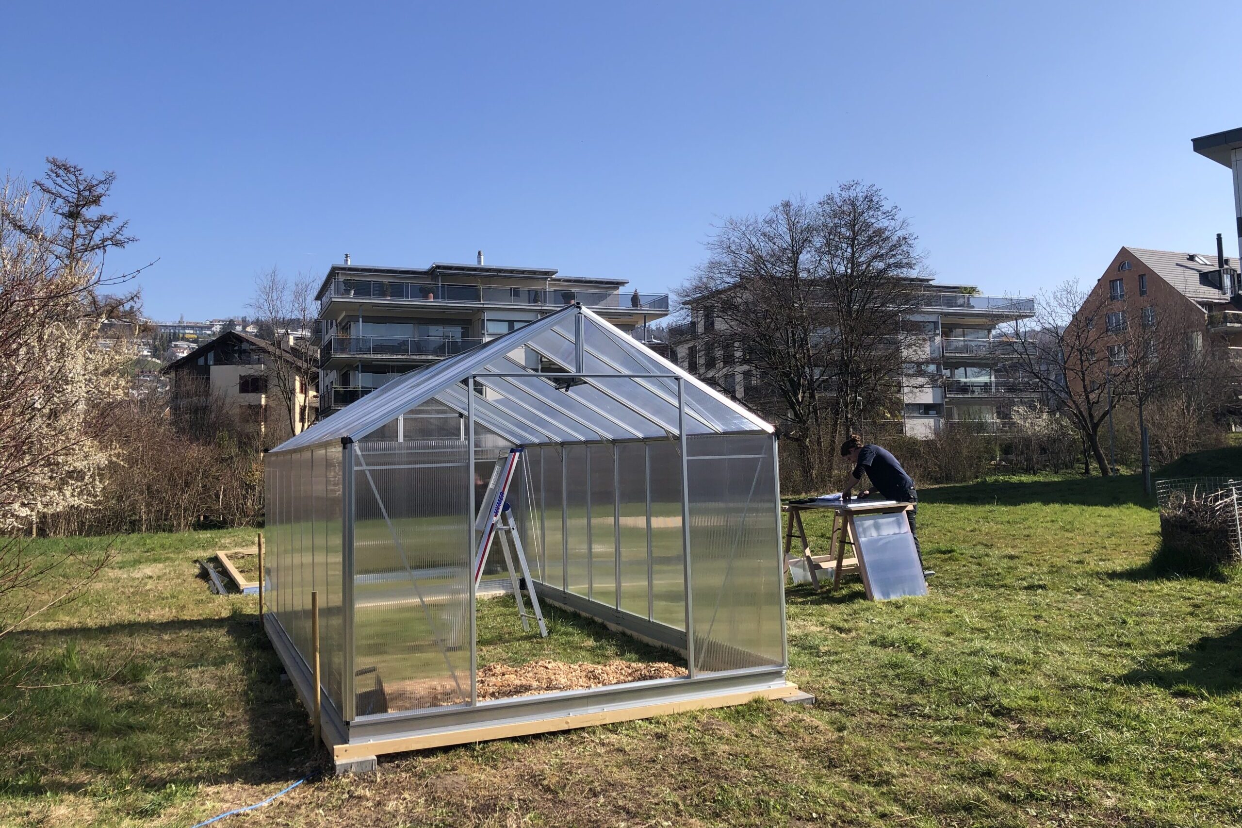 You are currently viewing Stubborn leeks and moody eggplants: The climate garden project at KUE