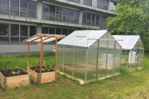 Read more about the article Two mysterious greenhouses have appeared at our school