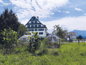 Read more about the article Der Klimagarten am LBBZ Schluechthof