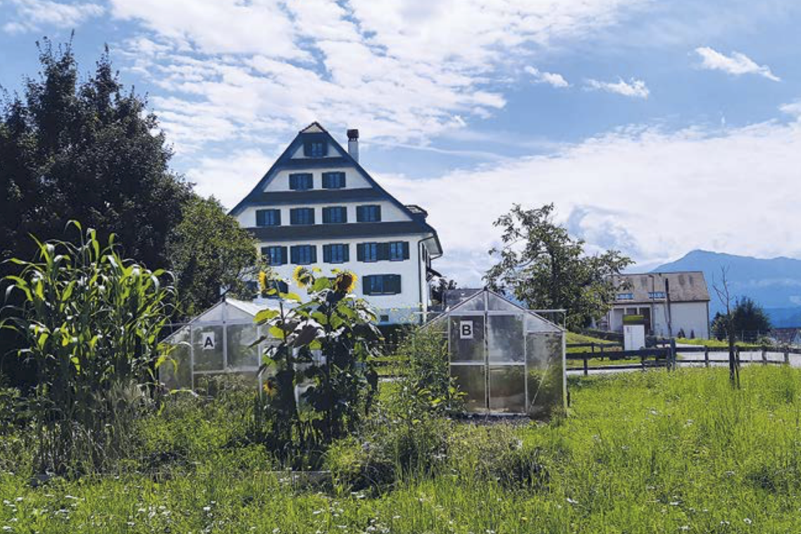 You are currently viewing Der Klimagarten am LBBZ Schluechthof